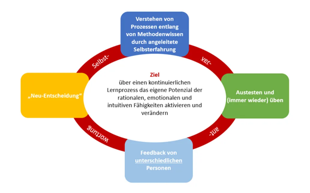 Grafik zu vier Entwicklungsfelder der Selbsterfahrung